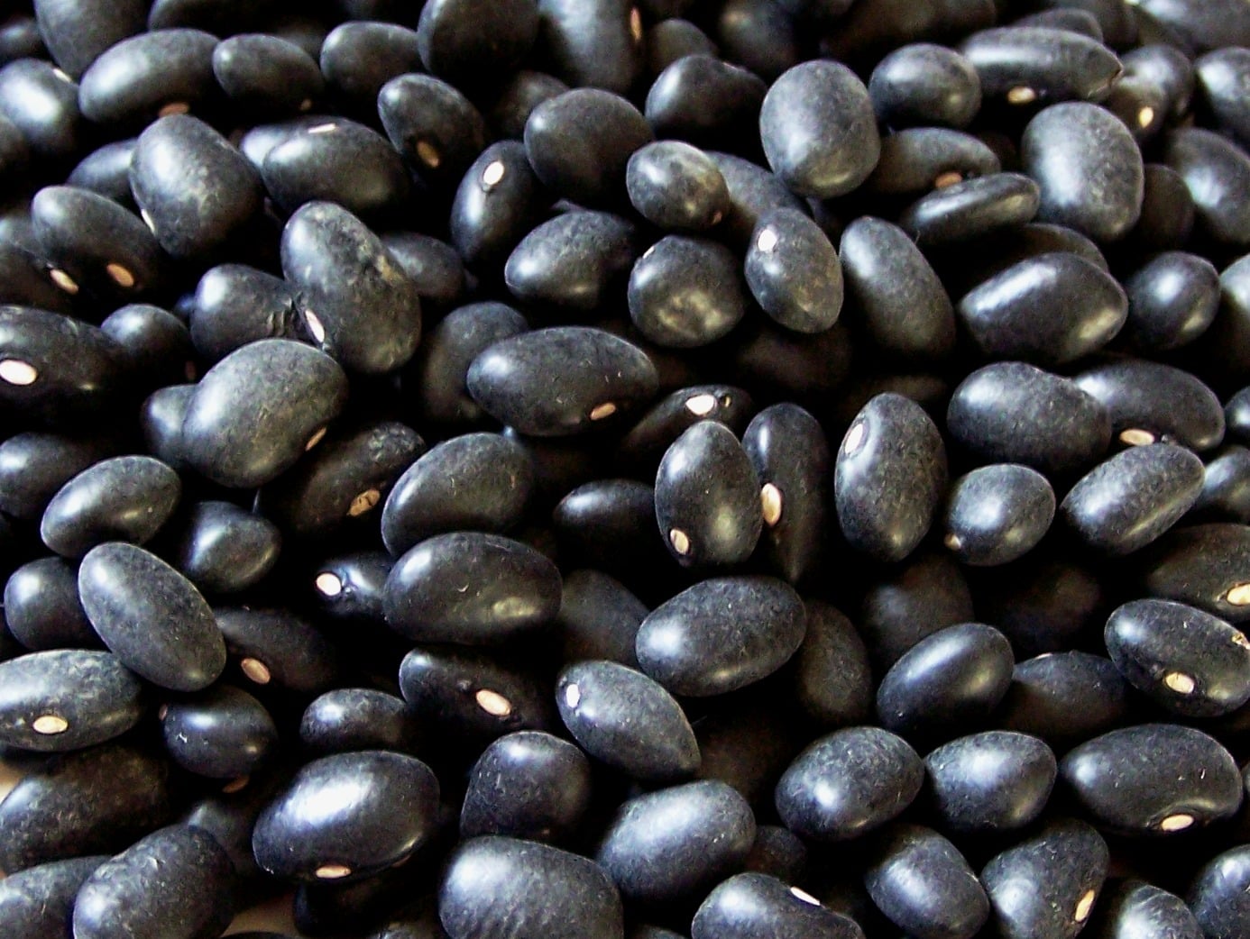Top Four Healthiest Beans Found in Bali Markets
