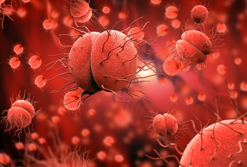 Causes Of Meningitis In Adults