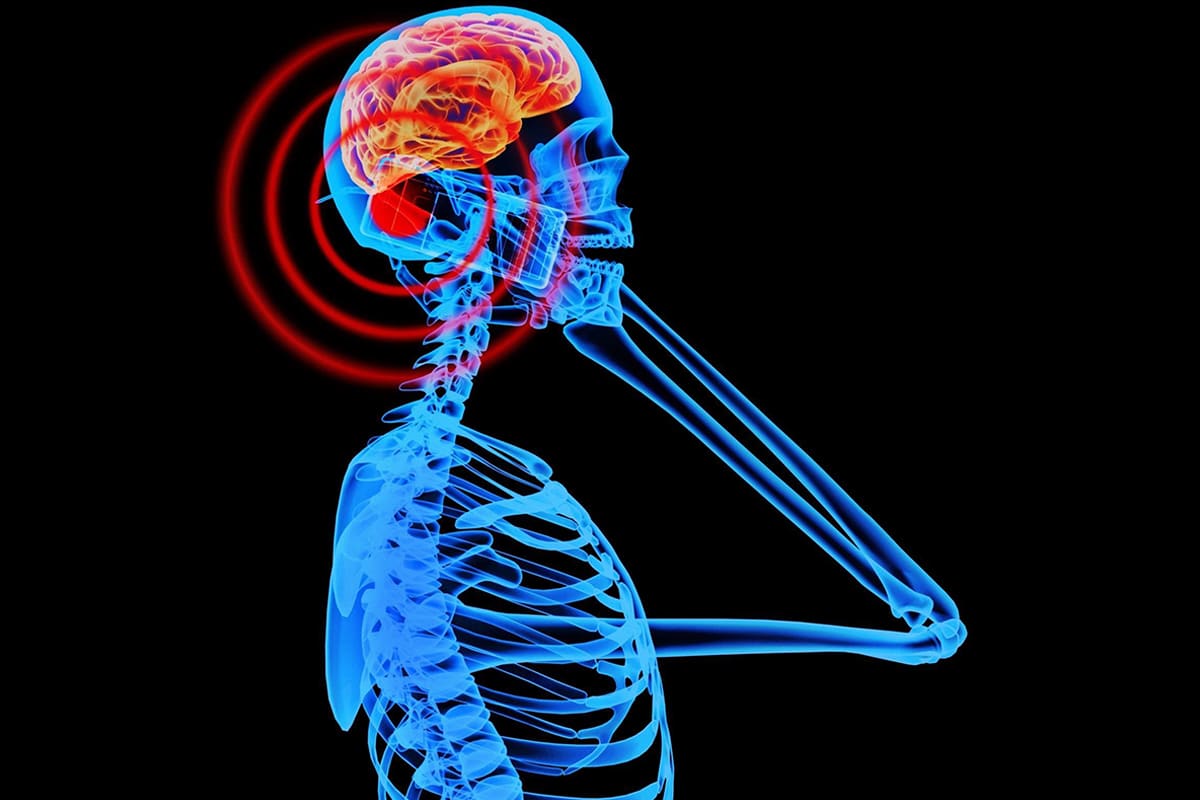 Do Cell Phones Pose a Health Hazard