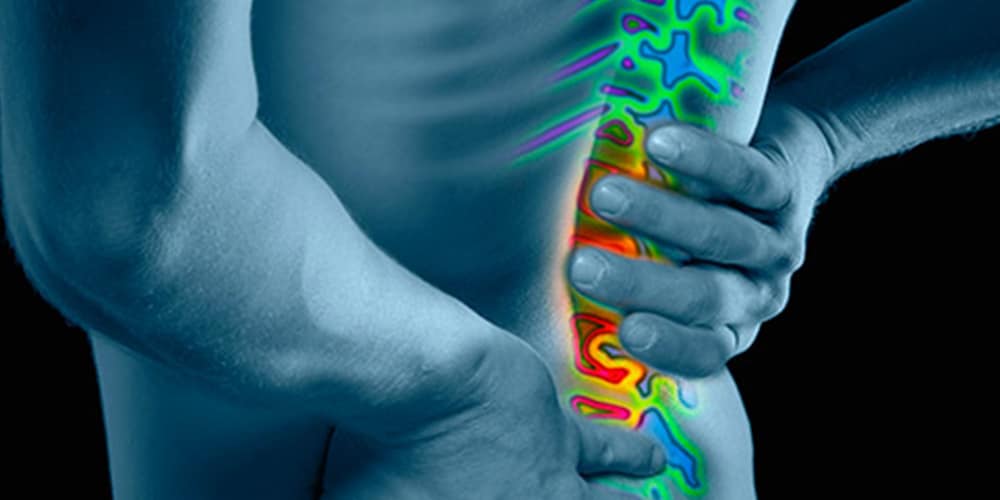 backpain2-web