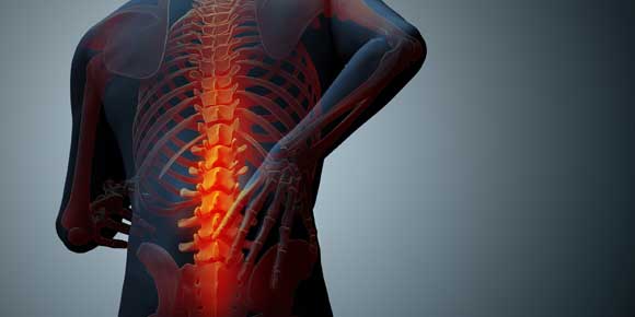 backpain big