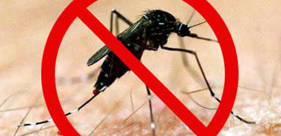 dengue