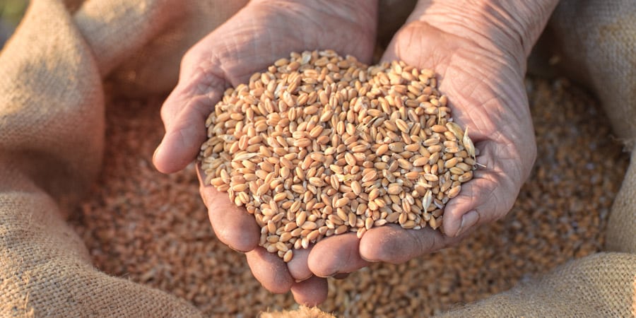 gluten_free_diet_benefits