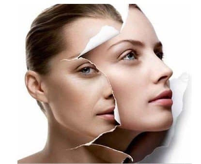 growth-factor-serum