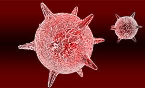 herpes