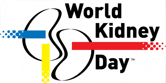 world kidney day big