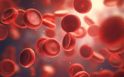 Post Holiday Check Up Cholesterol