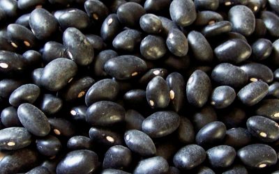 Top Four Healthiest Beans Found in Bali Markets