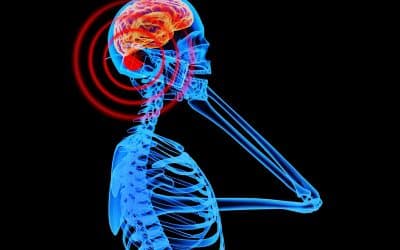 Do Cell Phones Pose a Health Hazard