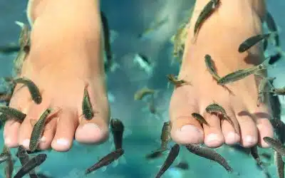 The Health Risks of Fish Pedicure