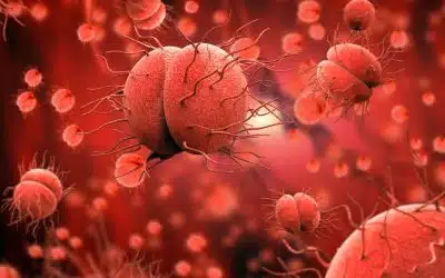 Causes Of Meningitis In Adults