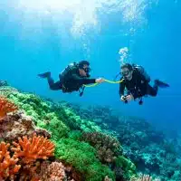 Diving And Surfing Accidents Recognizing Emergency Situations